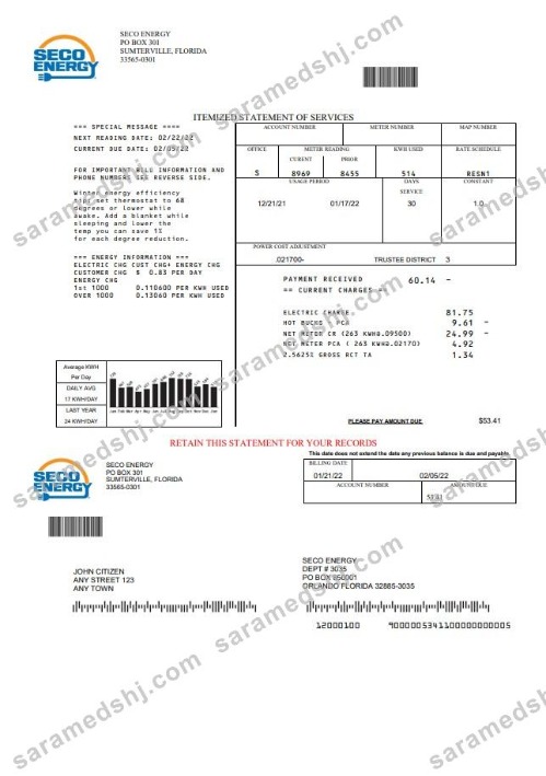 USA Florida Seco Energy utility bill template in Word and PDF format